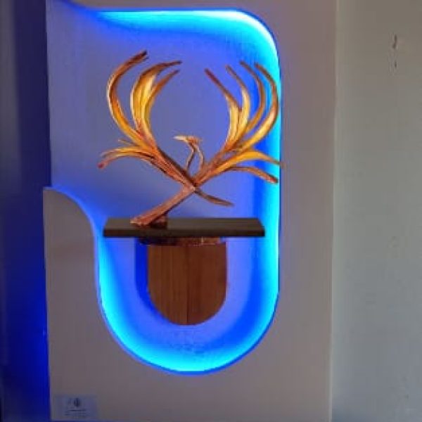 WhatsApp Image 2025-08-02 at 1.15.32 PM